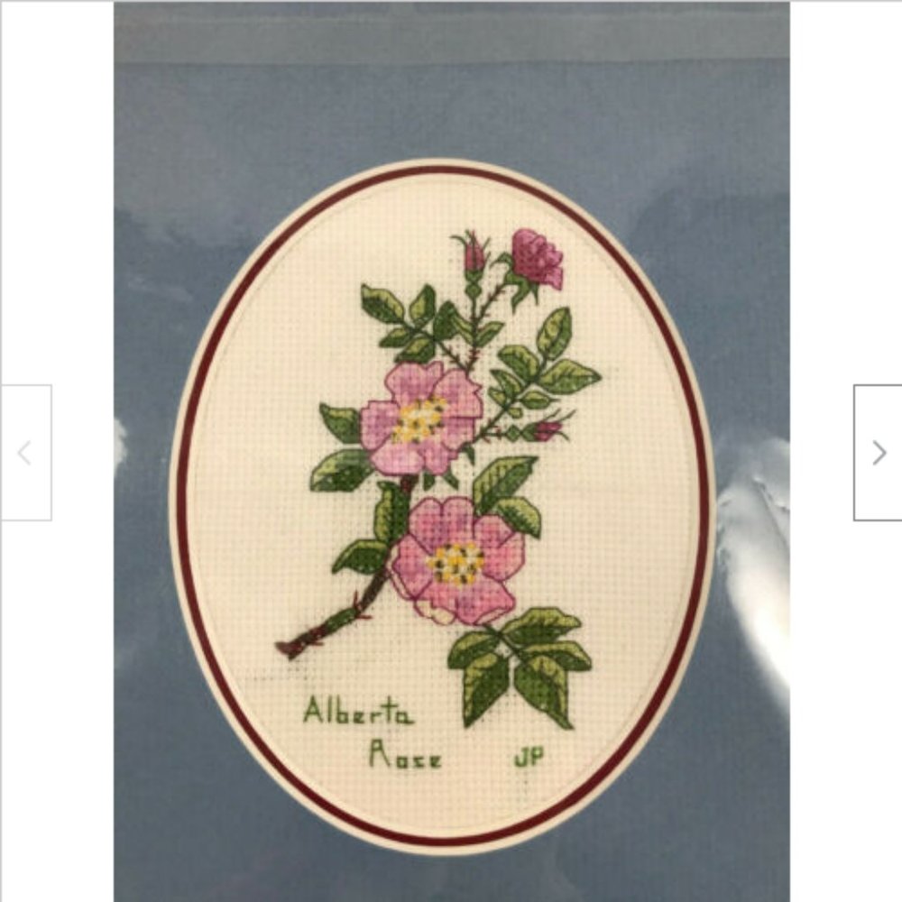 Alberta Wild Rose Finished Cross Stitch Picture Completed 8"x9.75" Mat Size